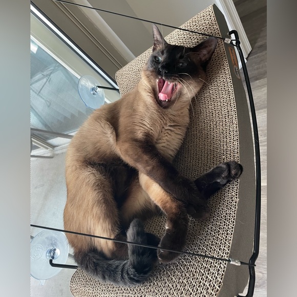 Reformation Genie Midi Dress Marion Rose Size 8 - Picture 15 of 15